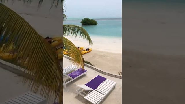 Royal Palm Island Resort 🇧🇿 смотреть онлайн