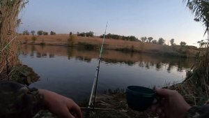 Чуть не поломал катушки. Рыбалка на Волго-Донском канале.