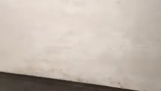 Люк под потолочный с напольными петлями смотреть онлайн