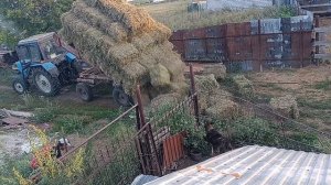 хозяйство