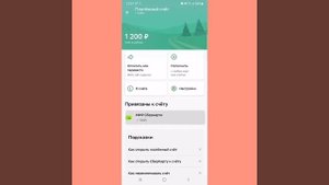 Подробная инструкция к Sber Pay как настроить как платить #Sber #SberPay #мир #nfc #сбербанк