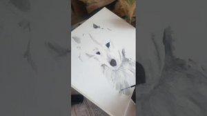 Рисуем самоеда