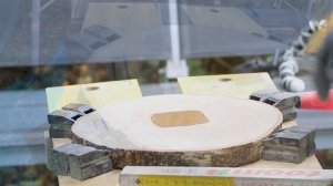 Часы из спила дерева своими руками.  Wooden clock.  Настенные часы.