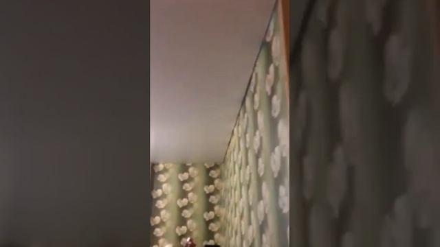 Натяжные потолки от АПК групп смотреть онлайн