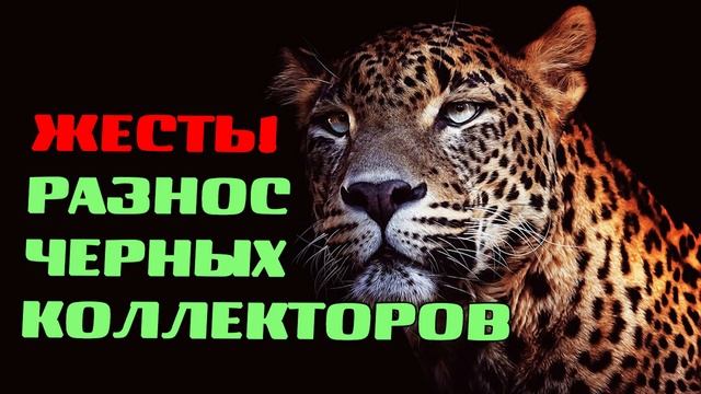 Жесть! Разнос черных коллекторов/Беспредел/Закон не работает/УЛОВКИ БАНКА/АНТИКОЛЛЕКТОР/230 ФЗ/ДОЛГ