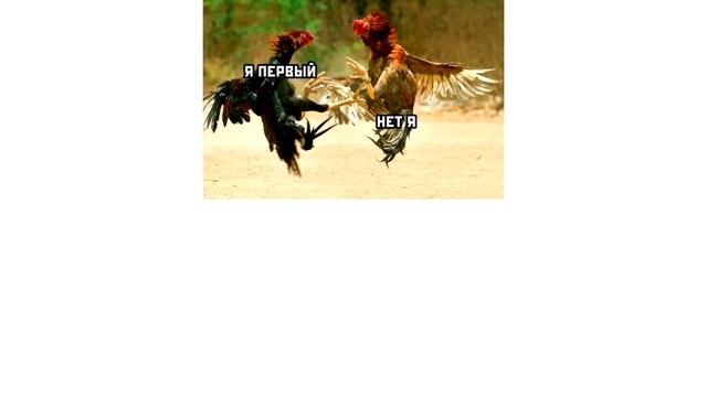 Дневная подборка мемов 839