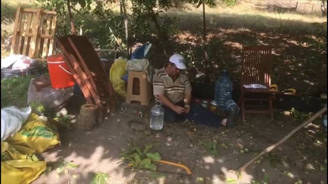 CEVİZ HASADI смотреть онлайн