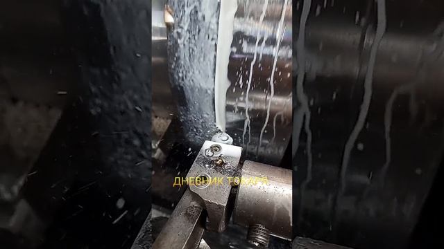 Залипательное видео. смотреть онлайн