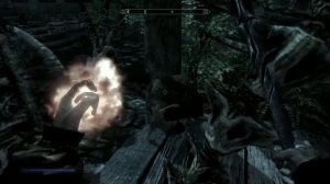 Skyrim Weirdness