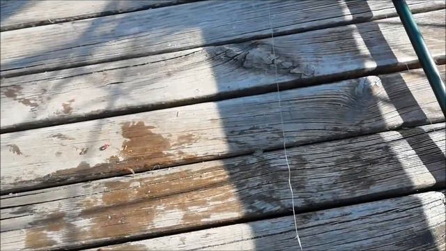 Открыл сезон по воблерам смотреть онлайн