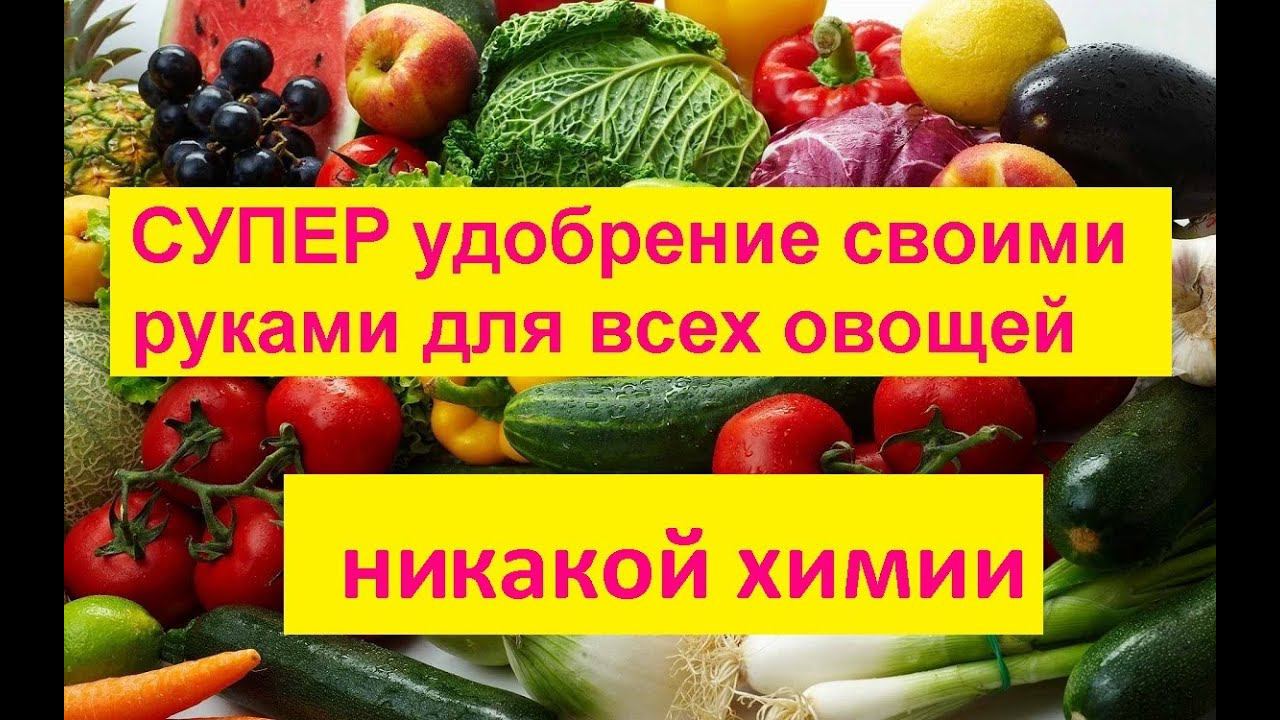 Лучшее удобрение // чем подкормить огурцы и помидоры// чем заменить навоз