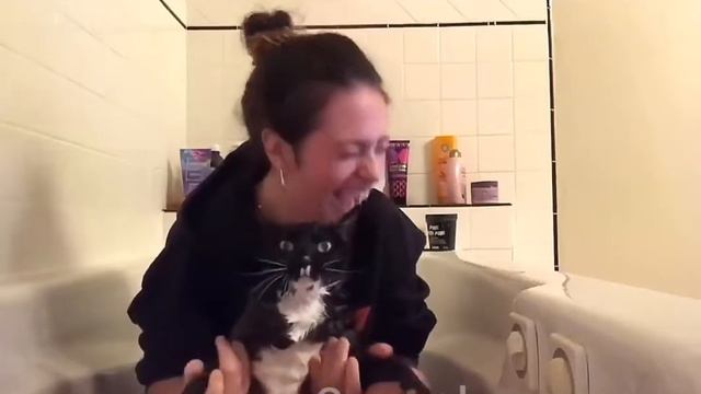 Я РЖАЛ ЦЕЛИЙ ЧАС/ СМЕШНЫЕ ЖИВОТНЫЕ/ ЛУЧШИЕ ПРИКОЛЫ/ ТЕСТ НА ПСИХИКУ. # 18 смотреть онлайн