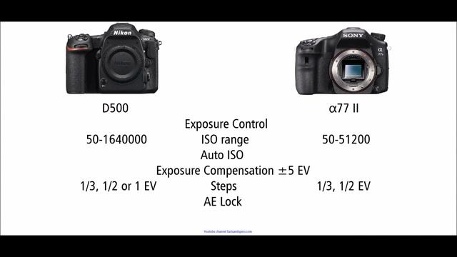 Nikon D500 vs Sony α77II смотреть онлайн