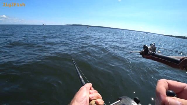 Ловля морского окуня и леща в Атлантическом океане (Субтитры с английского). смотреть онлайн