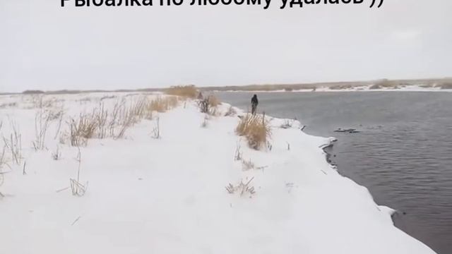 Просто рыбалка.. Грибаново. Архив.