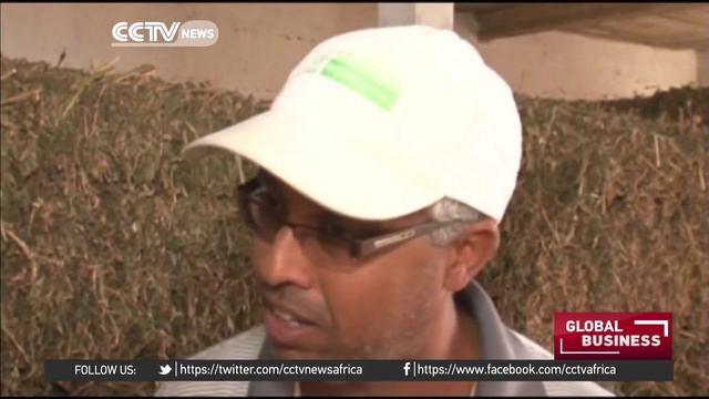 W. Sahara farmers create cheaper, organic animal feed смотреть онлайн