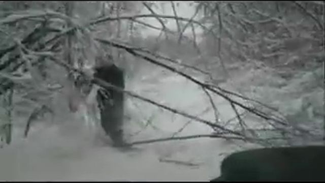 уаз зимой в лесу.avi смотреть онлайн