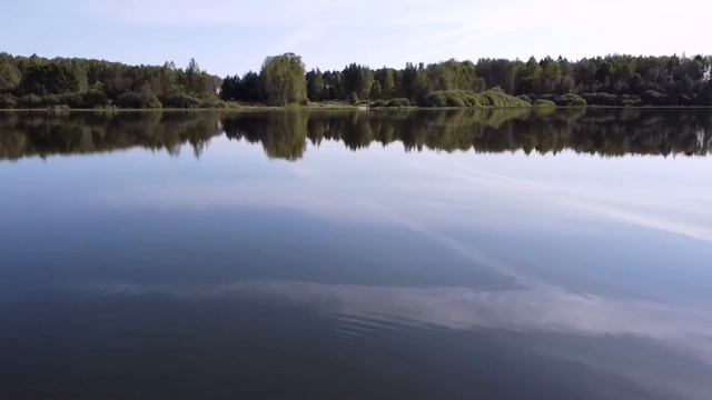 Сафоновский пруд возле дачного поселка Новое Сенино.