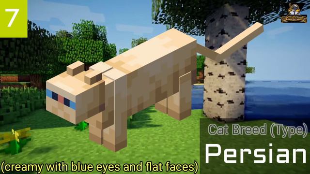 All Cat Breeds Of Minecraft | смотреть онлайн