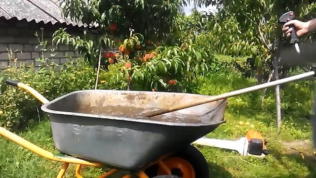 Тест STIHL FS 450 и китайца 42 кубика . И в конце персики в Белоруссии ! смотреть онлайн