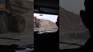 разрез шестаки