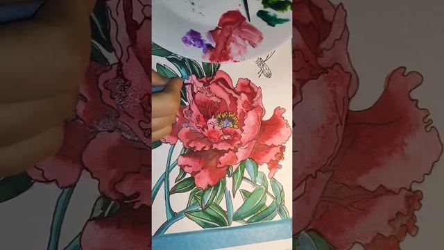 Рисунок Акварелью Цветок Пиона/Ботаническая Акварель/Watercolor Drawing Peony Flower/Botanical Art