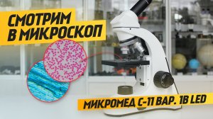 Микроскоп для школьника Микромед С-11 вар. 1B LED