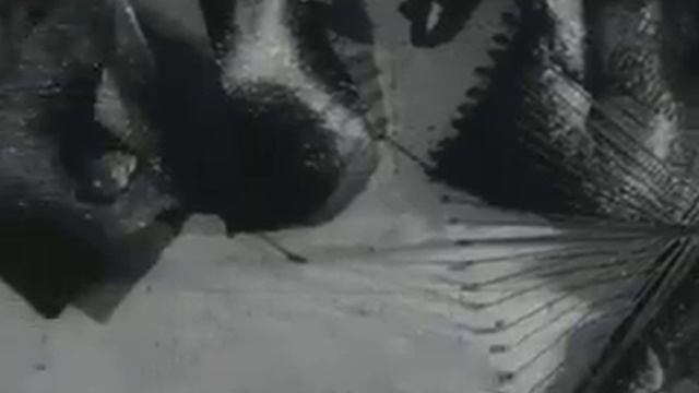 1984 г. Советский Урал № 18. "Открытие ДК Геолог в Тюмени." смотреть онлайн