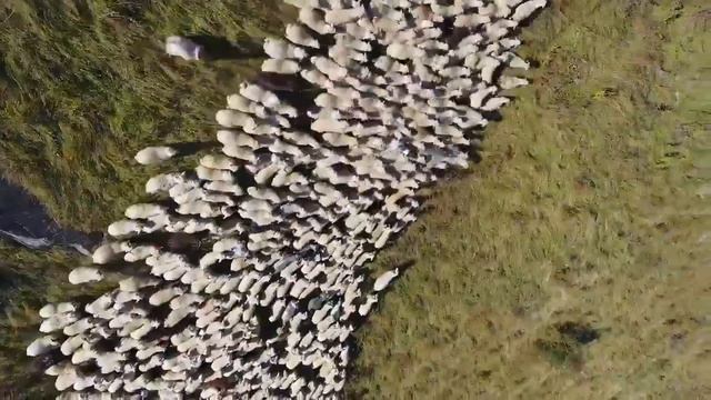 Грузия Красивая Страна   Достопримечательности Грузии, красивые места