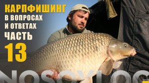 Карпфишинг в вопросах и ответах, выпуск 13, Колесников А.