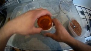 ДЕЛАЮ ПРИКОРМКУ ИЗ ГРЕЧКИ