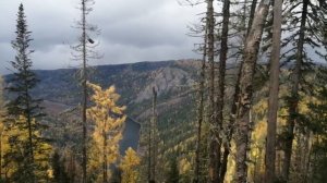 Работа на КДМ. Летний период