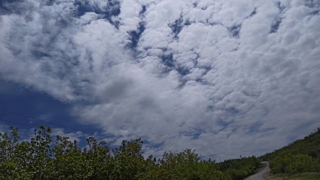 Орел по дороге Кахул-Джурджулешты смотреть онлайн