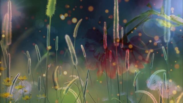 BACKGROUND VIDEO OF BUTTERFLIES IN THE WEEDS смотреть онлайн