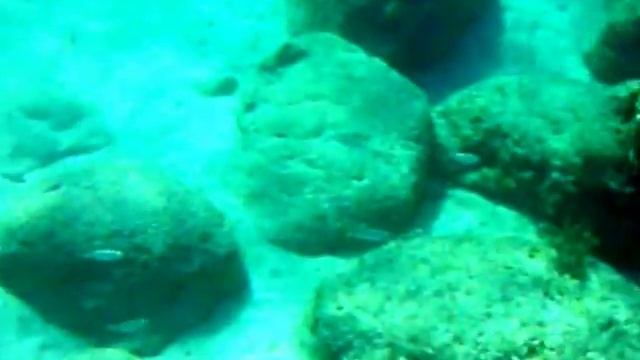 Кипр.Протарас.Море.