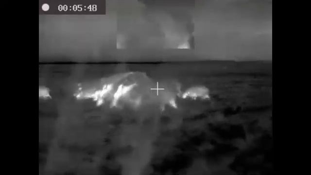 Hikvision thermal scope DS-2TR-03-35UF/W Wild boars 2 смотреть онлайн