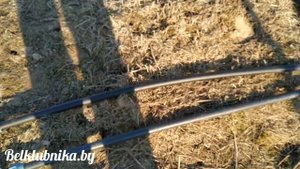 Дождевание на маточнике клубники. Спринклерный полив для рассады. Belklubnika.by.mp4