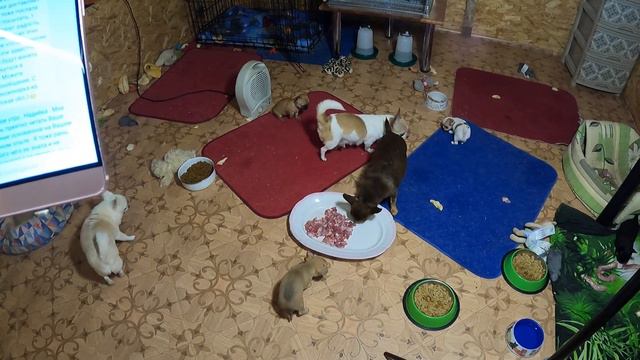 СПАСИБО за ПОДАРКИ Евгении Григорьевне , Ольге Евгеньевне , Надийке Зайцева из Сибири(Иркутская обл смотреть онлайн