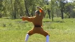 Шаолиньское кунфу: «18 рук Архатов»