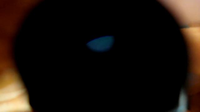 Микроскоп 60X to 100X Zoom Microscope смотреть онлайн