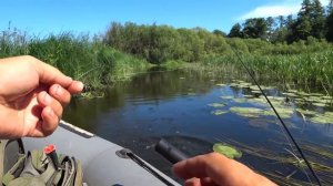 РЫБА ЕСТЬ, НО КАК ЕЕ ПОЙМАТЬ. РЫБАЛКА НА СПИННИНГ В ТРАВЕ