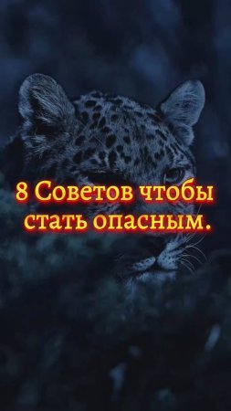 8 Правил чтобы стать опасным. (Мотивация)