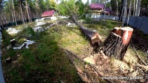 Перетягиваем листвяк