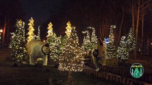 Это стоит увидеть. Новые локации в парке Горького Новый год елка 2022.