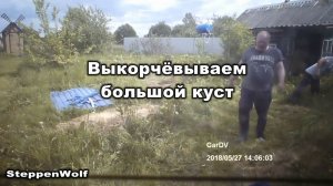 Выкорчёвываем большой куст