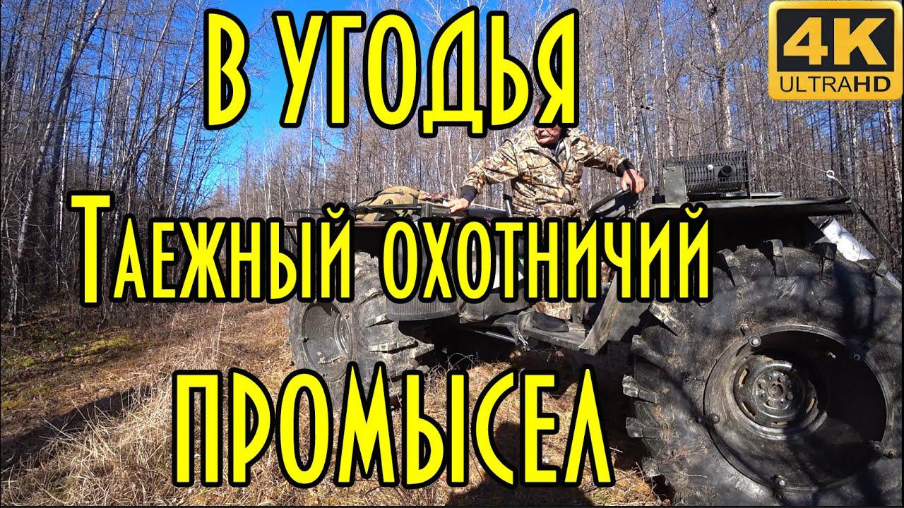 В угодья, таежный охотничий промысел. Будни таежников, зимовья, каракат. Часть 1 видео 4К