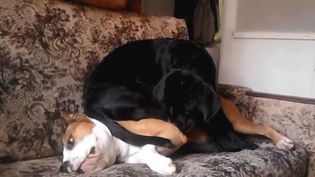 Курс молодого бойца - 2. смотреть онлайн