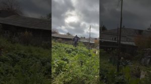 Рассеянный склероз. Придумал для себя тренировку на огороде ))