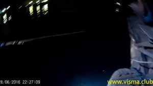 Кальмары прямо не плывут