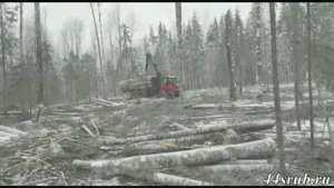 Вывозка зимнего северного леса из делянки
